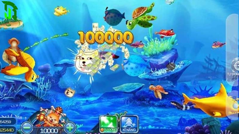 Cac co che ban ca Jackpot tai JBO